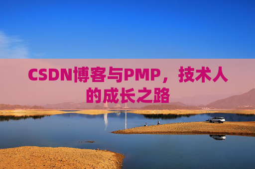 CSDN博客与PMP,技术人的成长之路